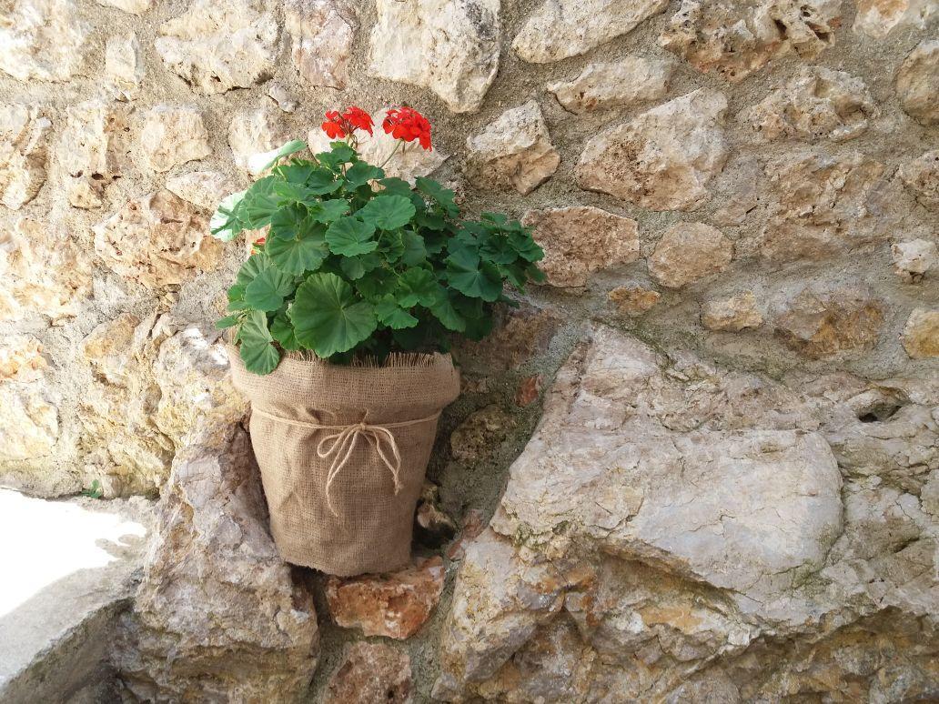 Villa Kostandin Κηπαρό Εξωτερικό φωτογραφία